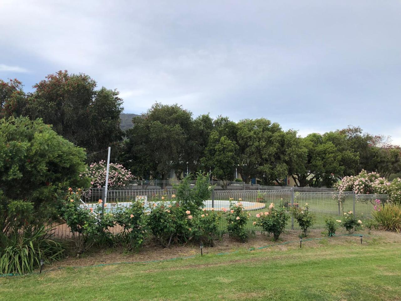Valley View Motel Murrurundi エクステリア 写真